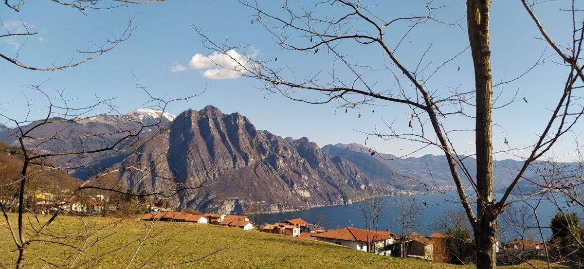 L'albero e la nuvola