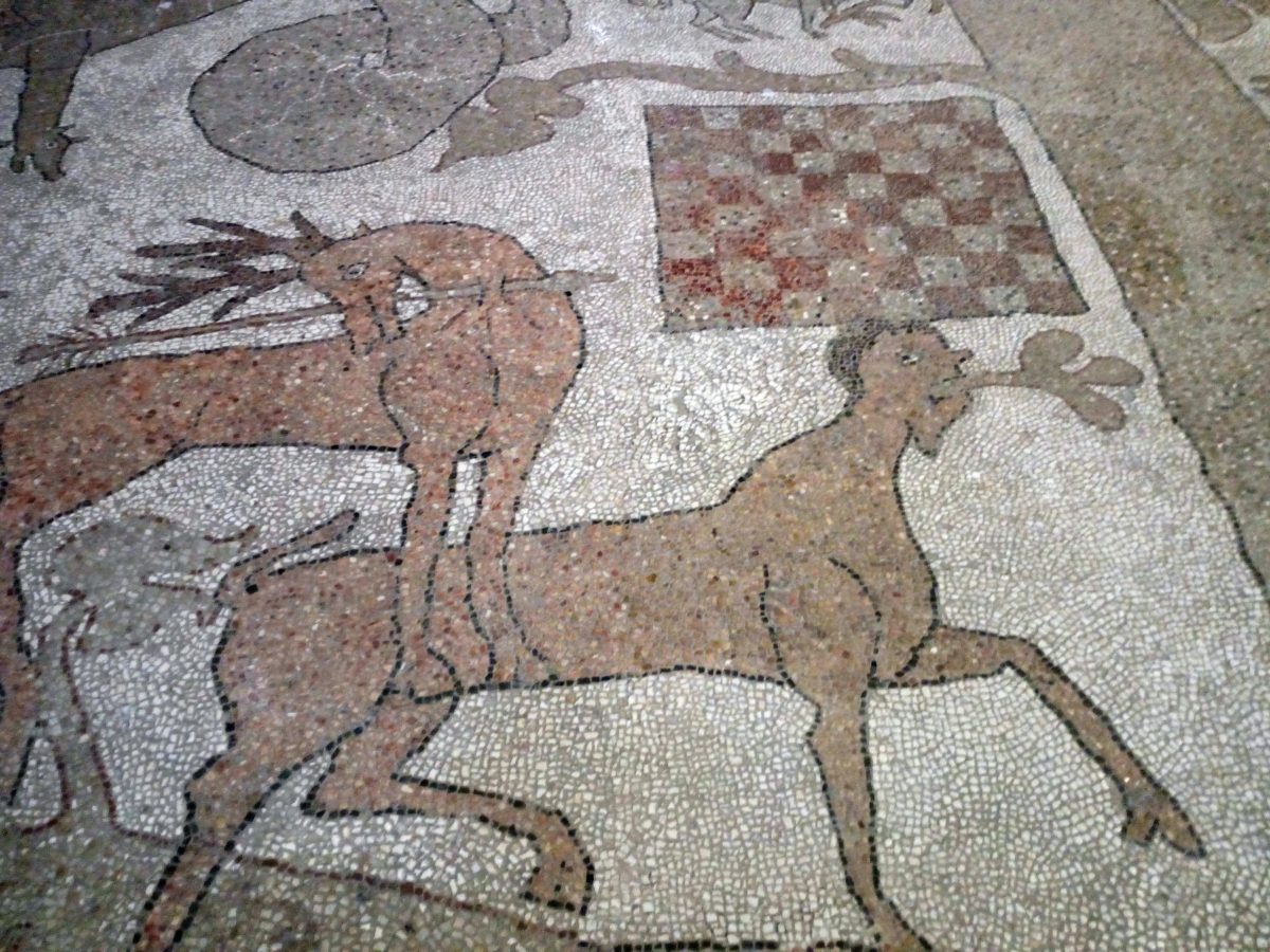 2020-10-05 Albero della vita con scacchiera-Otranto