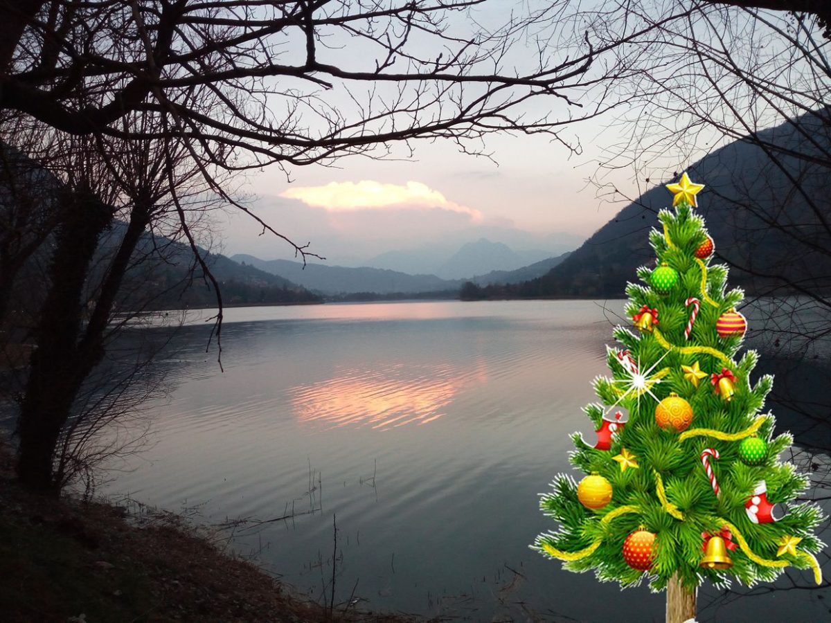 Albero di Natale 2022