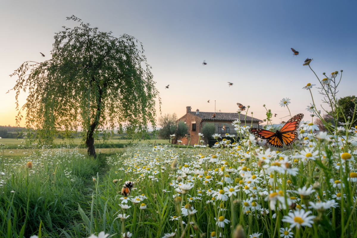 Nell'assorta primavera